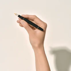 Meisterstück Gold-Coated Fountain Pen