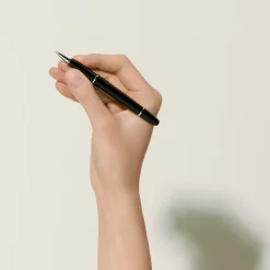 Meisterstück Platinum-Coated Rollerball