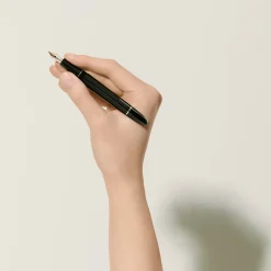 Meisterstück Platinum-Coated Fountain Pen