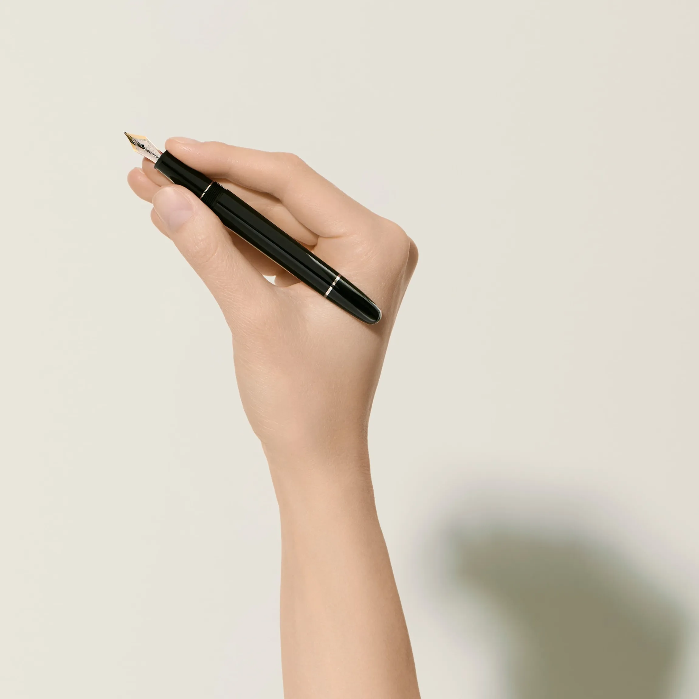 Meisterstück Platinum-Coated Fountain Pen
