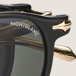 Oval foldabale Sunglasses with Black Coloured Injected Frame