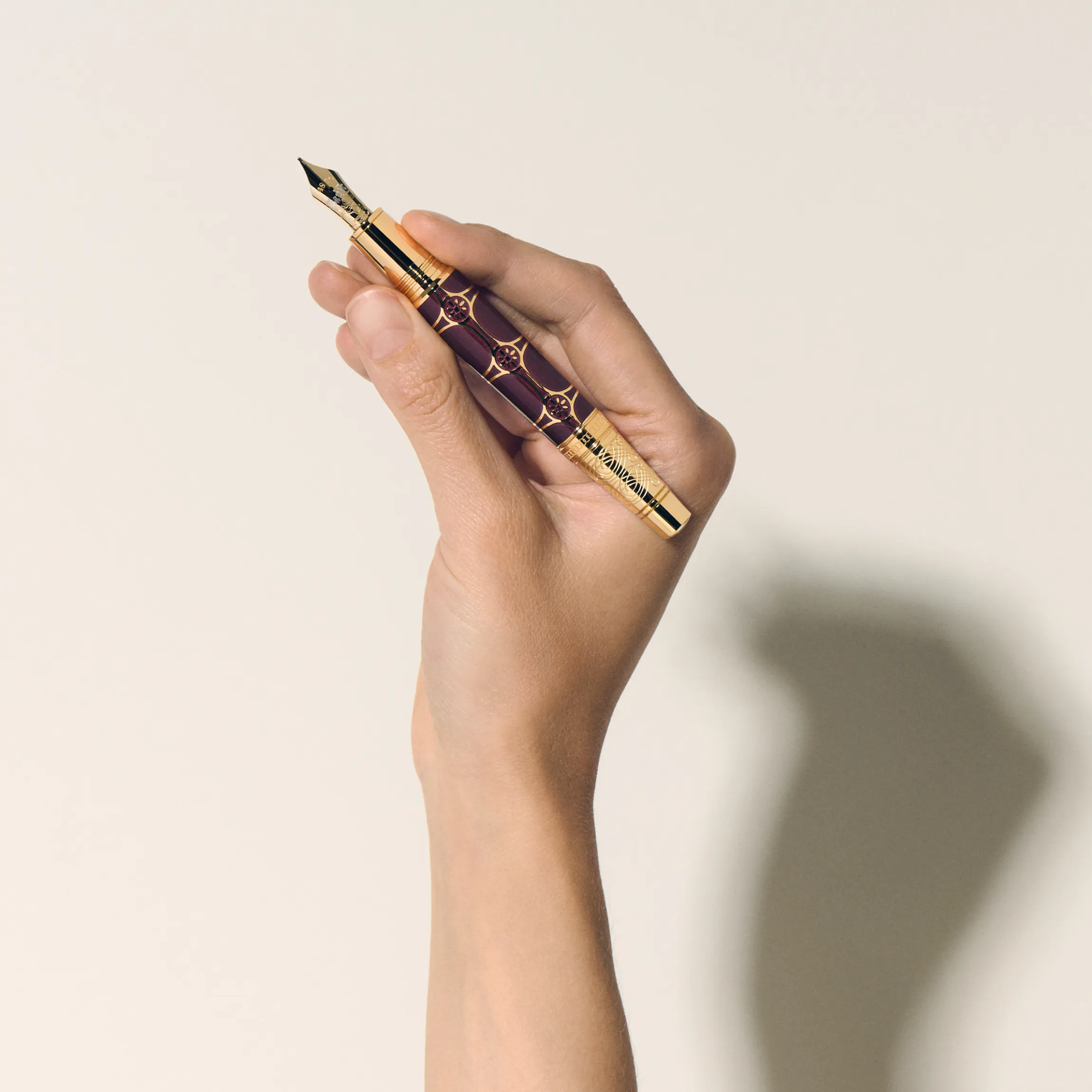 Writers Edition Homage to Johann Wolfgang von Goethe Limited Edition 1808 Fountain Pen M