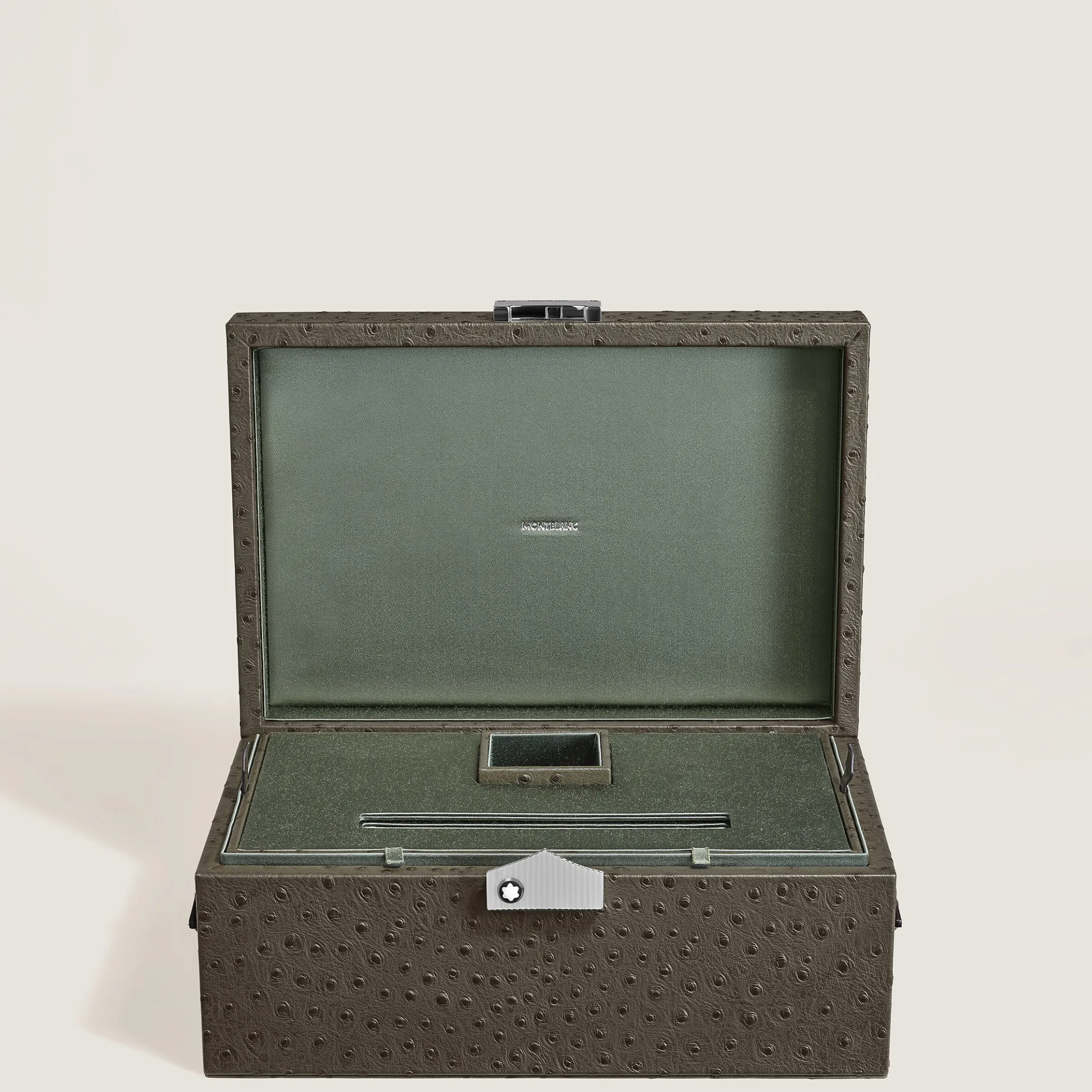 Writing Instruments Collector Box in Ostrich-Embossed Leather