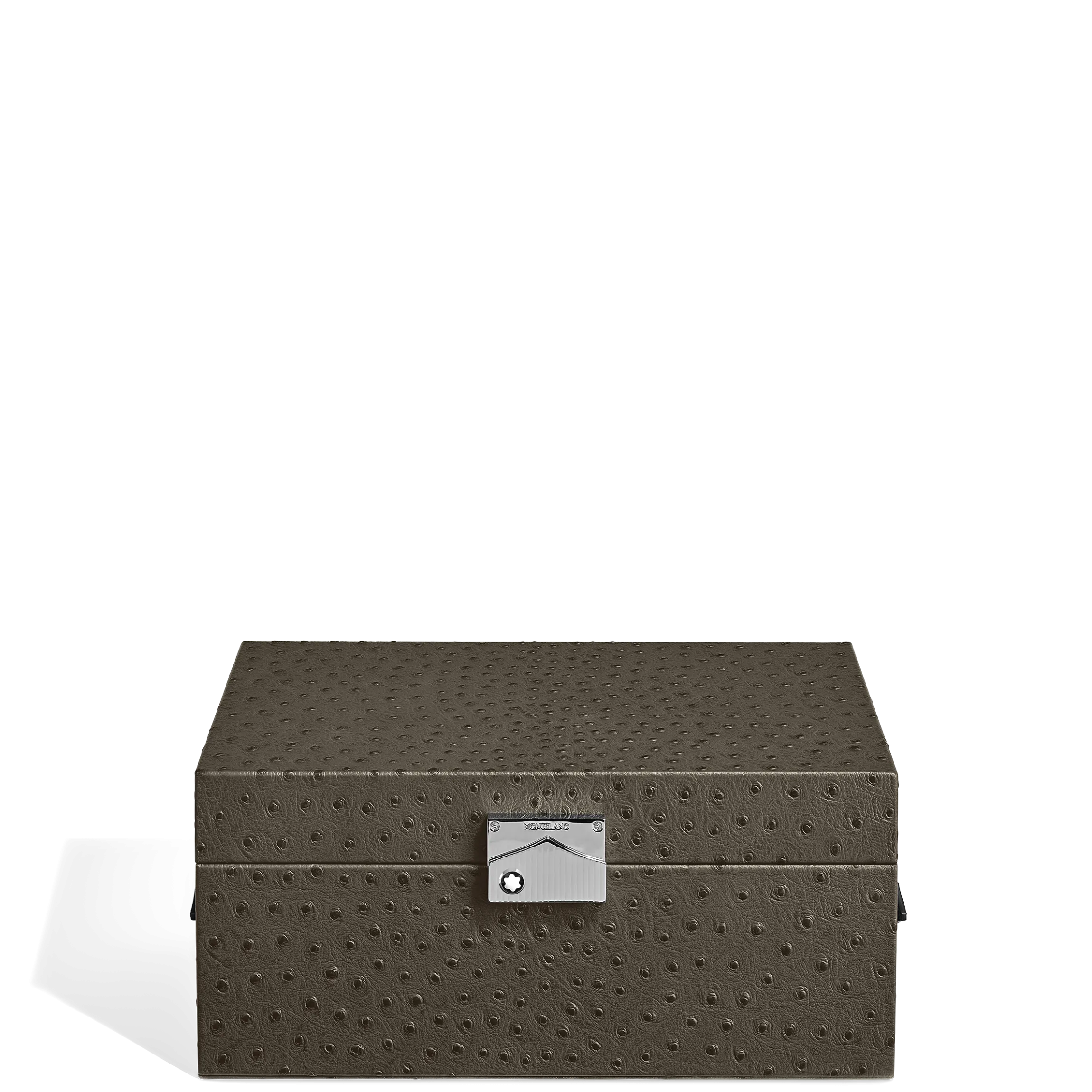 Writing Instruments Collector Box in Ostrich-Embossed Leather